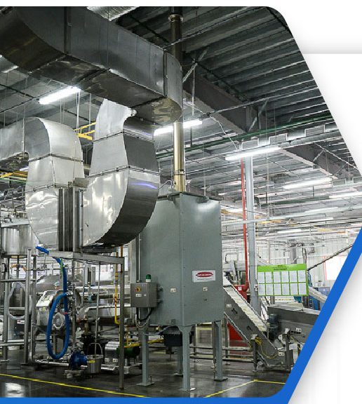 Mayonnaise products factory
